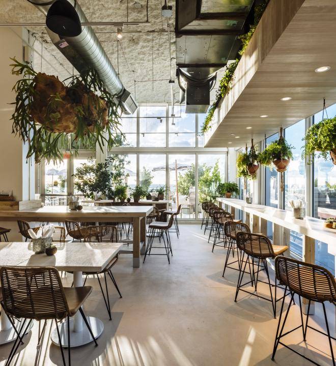 Plnthouse | restaurant | 2341 Collins Ave 6th floor, Miami Beach, FL 33139, USA | 3056046881 OR +1 305-604-6881