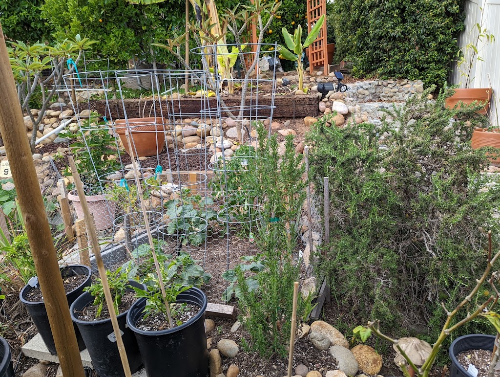 Warung Rie Rie | restaurant | 8906 Hammond Dr, San Diego, CA 92123, USA | 6192080384 OR +1 619-208-0384