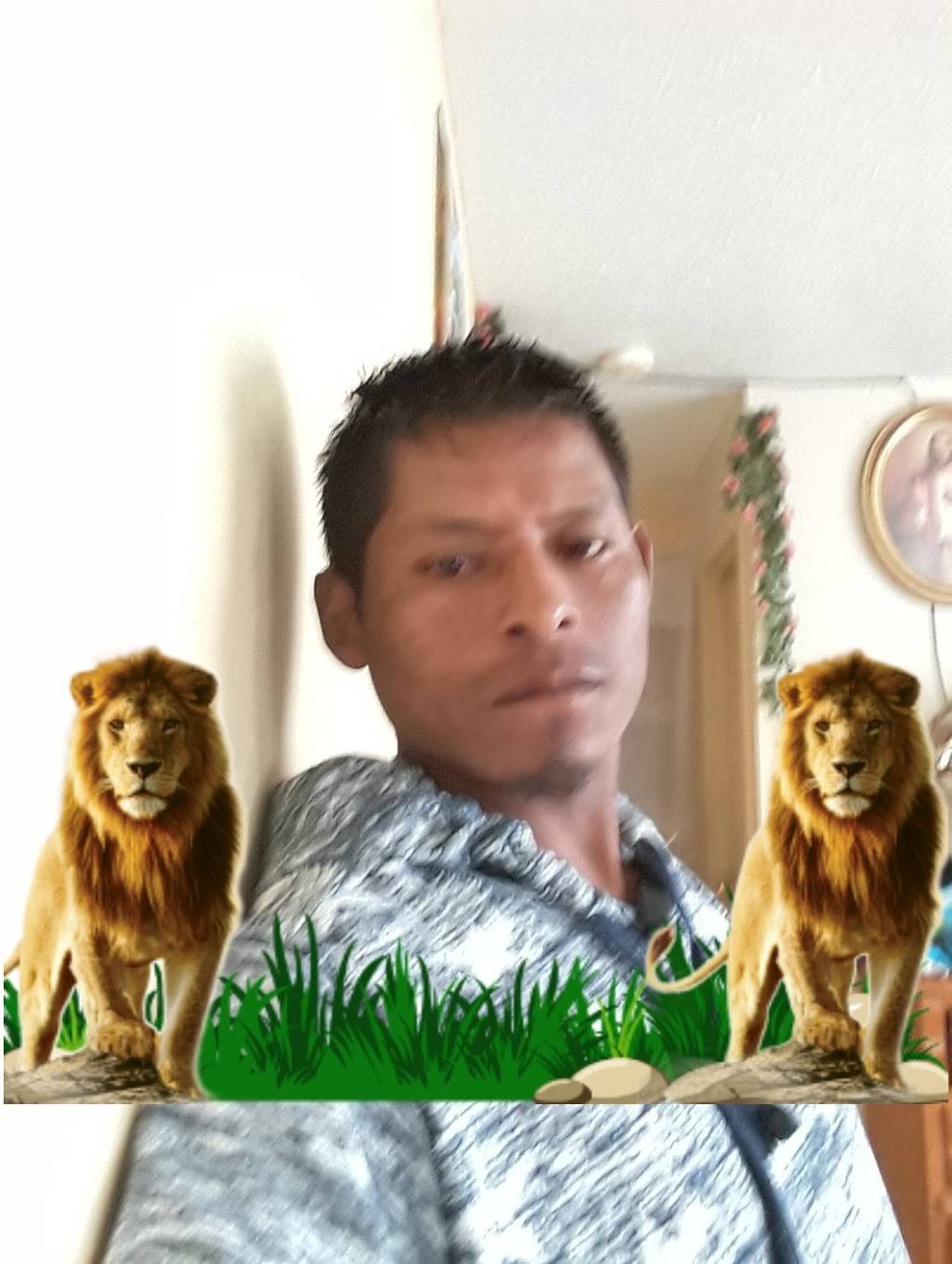 Little Caesars Pizza | meal takeaway | 26801 Old 41 Rd, Bonita Springs, FL 34135, USA | 2399495311 OR +1 239-949-5311