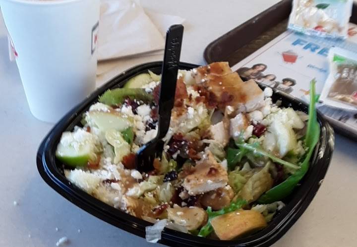 Wendys | restaurant | 3176 W Shore Dr, Holland, MI 49424, USA | 6167960209 OR +1 616-796-0209