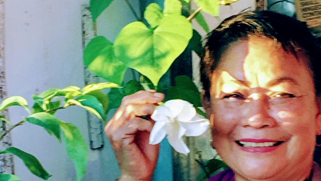 Chims Thai Kitchen on Broadway | restaurant | 904 E Broadway, Columbia, MO 65201, USA | 5737773082 OR +1 573-777-3082