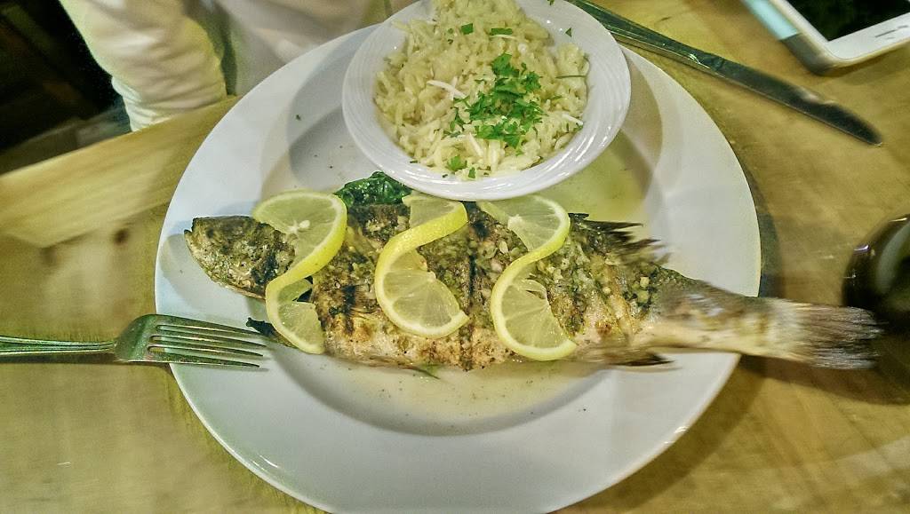 Opa Authentic Greek Cuisine Walnut Creek | restaurant | 1532 N Main St, Walnut Creek, CA 94596, USA | 9258914700 OR +1 925-891-4700