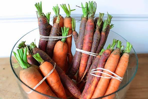 The Depanneur | restaurant | 1033 College St, Toronto, ON M6H 1A8, Canada | 4168281990 OR +1 416-828-1990