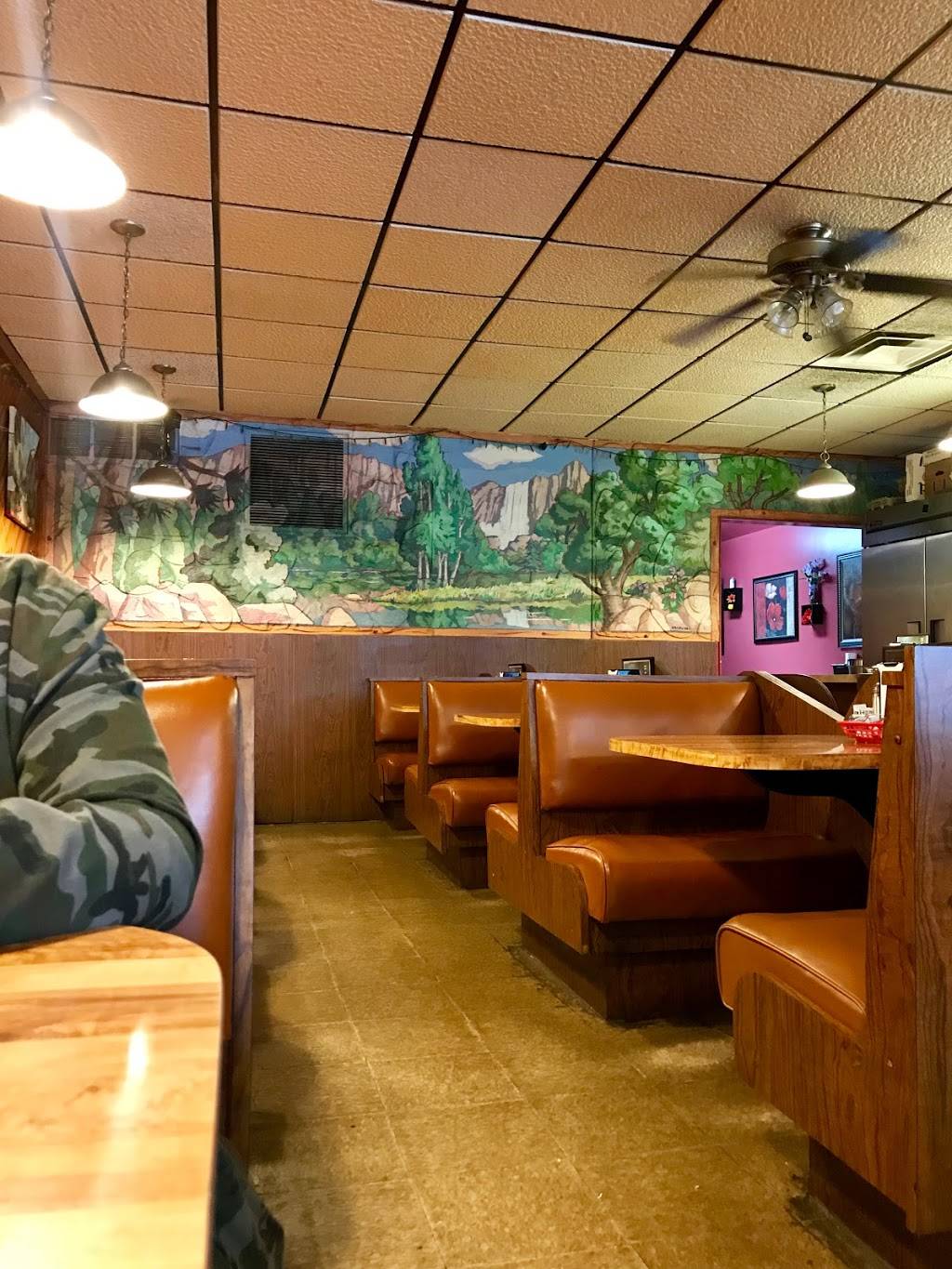 Hamtramck Coney Island | restaurant | 9741 Joseph Campau Ave, Hamtramck, MI 48212, USA | 3138734569 OR +1 313-873-4569