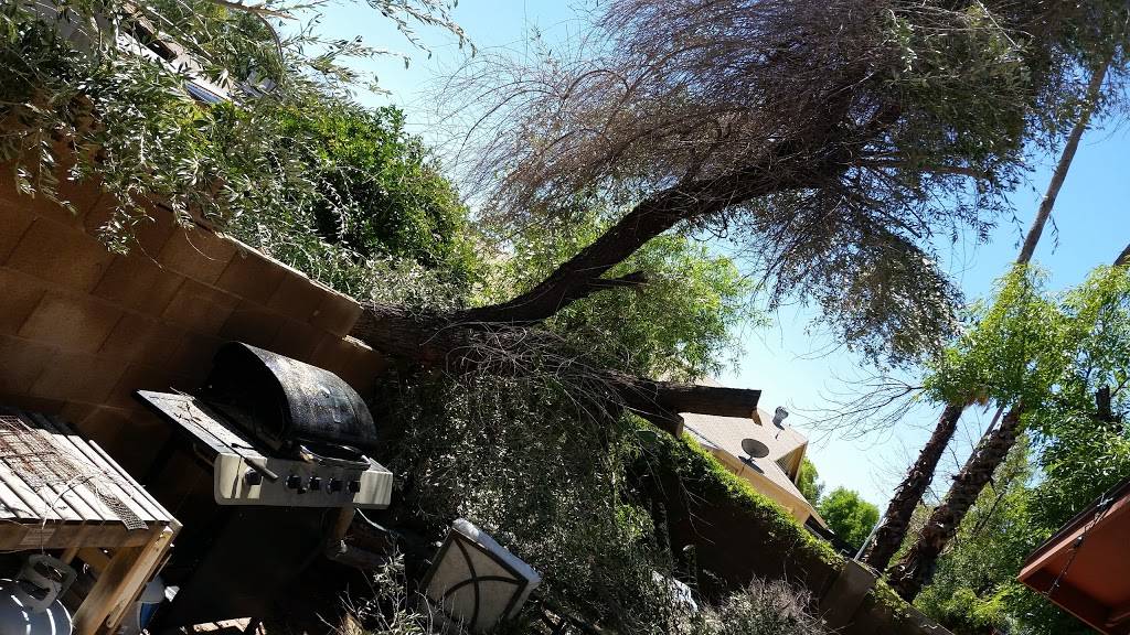 Taqueria Del Valle | restaurant | 19 E Carmel Valley Rd, Carmel Valley, CA 93924, USA | 8316591373 OR +1 831-659-1373