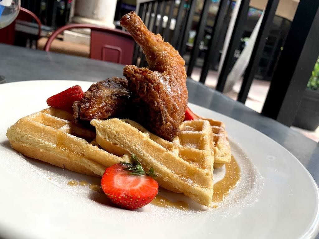 American Craft Kitchen & Taproom | restaurant | 9651 Westview Dr, Coral Springs, FL 33076, USA | 9542271823 OR +1 954-227-1823