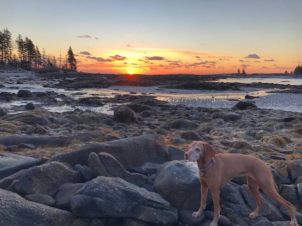 The Causeway Restaurant | restaurant | 5 3rd St, St George, ME 04859, USA | 2075947644 OR +1 207-594-7644