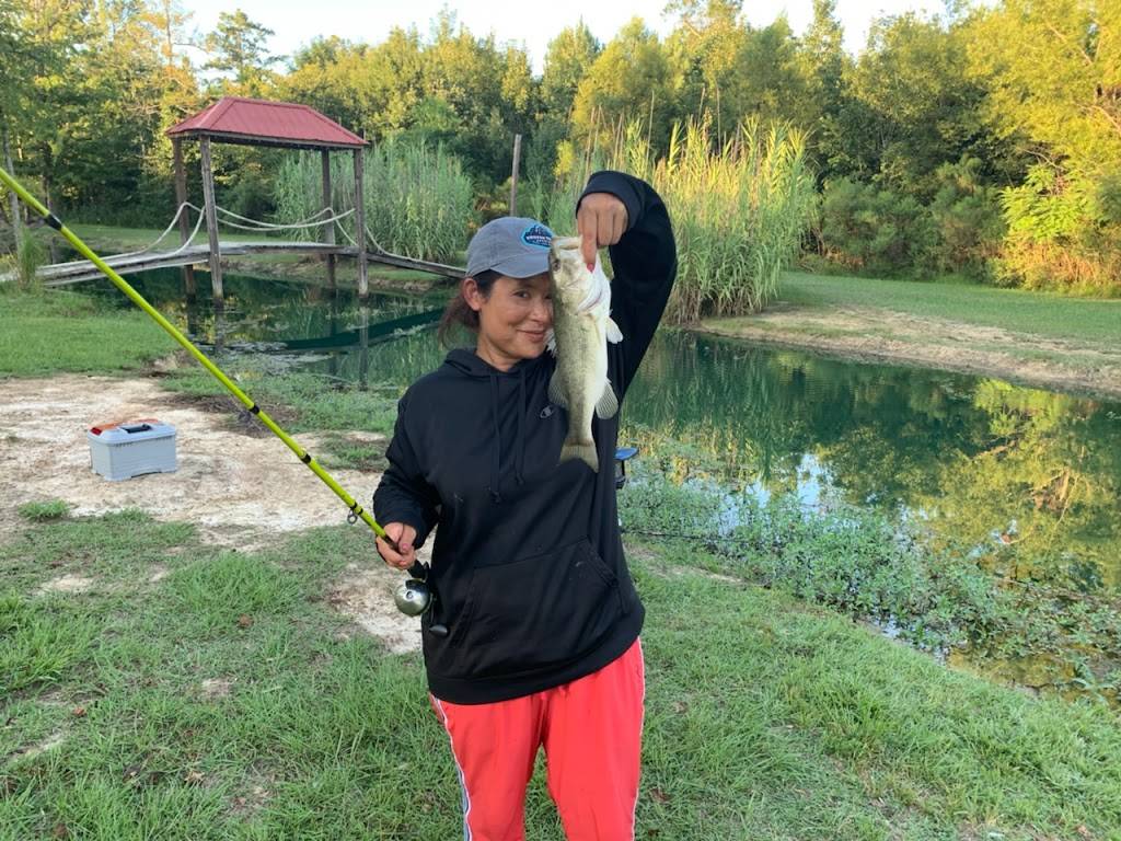 Captain Ds | restaurant | 917 Rainbow Dr, Gadsden, AL 35901, USA | 2565462572 OR +1 256-546-2572