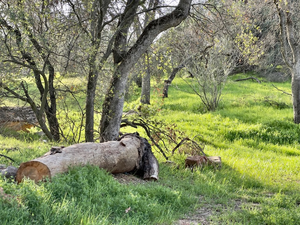 Spring Up In The Hills | restaurant | 695 Main St, Copperopolis, CA 95228, USA | 2097180369 OR +1 209-718-0369