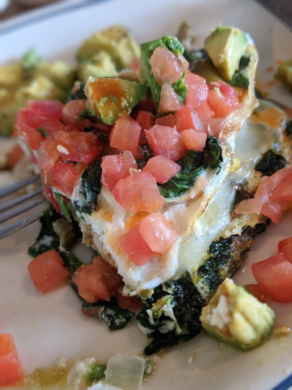 IHOP | restaurant | 802 S Dale Mabry Hwy, Tampa, FL 33609, USA | 8138730279 OR +1 813-873-0279