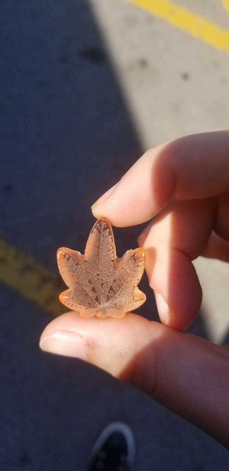 Daily Buffet & Grill | restaurant | 2808 S Rutherford Blvd, Murfreesboro, TN 37130, USA | 6158901118 OR +1 615-890-1118