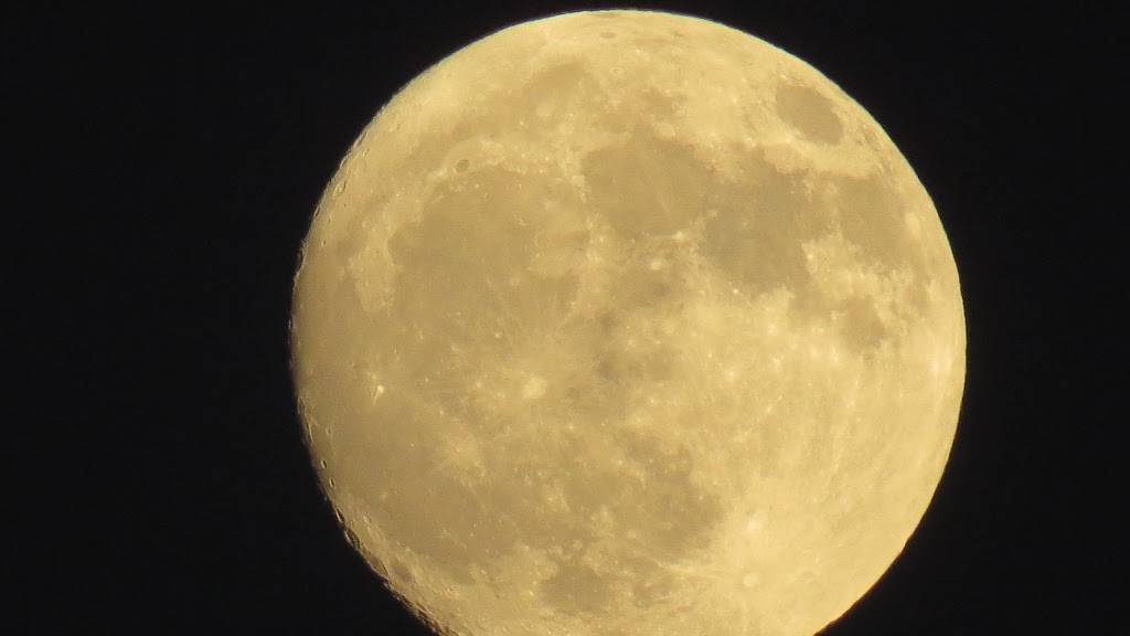 Dragon Gate | meal delivery | 2000 Chapel Hill Rd #42, Durham, NC 27707, USA | 9194900229 OR +1 919-490-0229