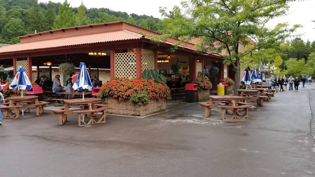 Phoenix Junction | restaurant | Elysburg, PA 17824, USA | 8004874386 OR +1 800-487-4386