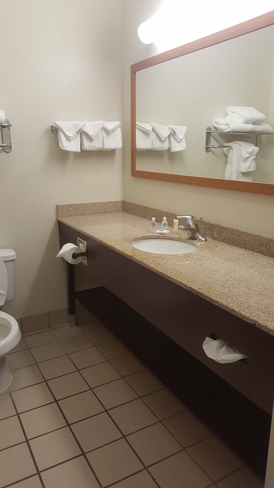 Comfort Inn & Suites Savannah Airport | restaurant | 15 Jay R Turner Dr, Savannah, GA 31408, USA | 9126291500 OR +1 912-629-1500