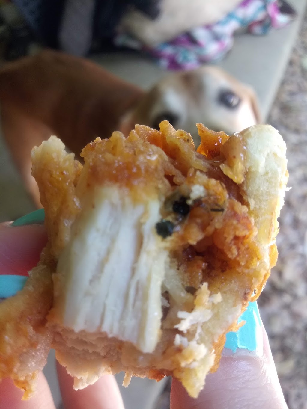 Popeyes Louisiana Kitchen | restaurant | 711 N Navy Blvd, Pensacola, FL 32507, USA | 8504551430 OR +1 850-455-1430