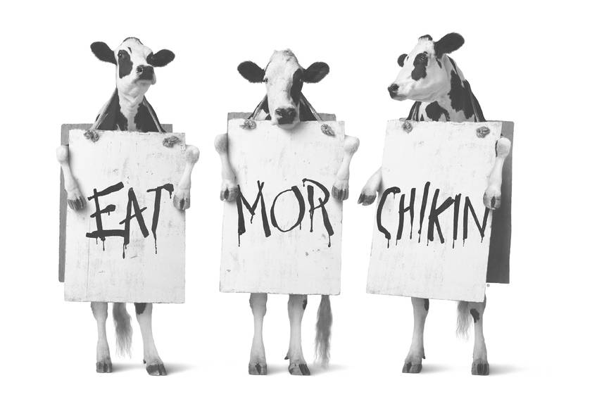 Chick-fil-A Plymouth | restaurant | 49 Commerce Way, Plymouth, MA 02360, USA | 5087477625 OR +1 508-747-7625