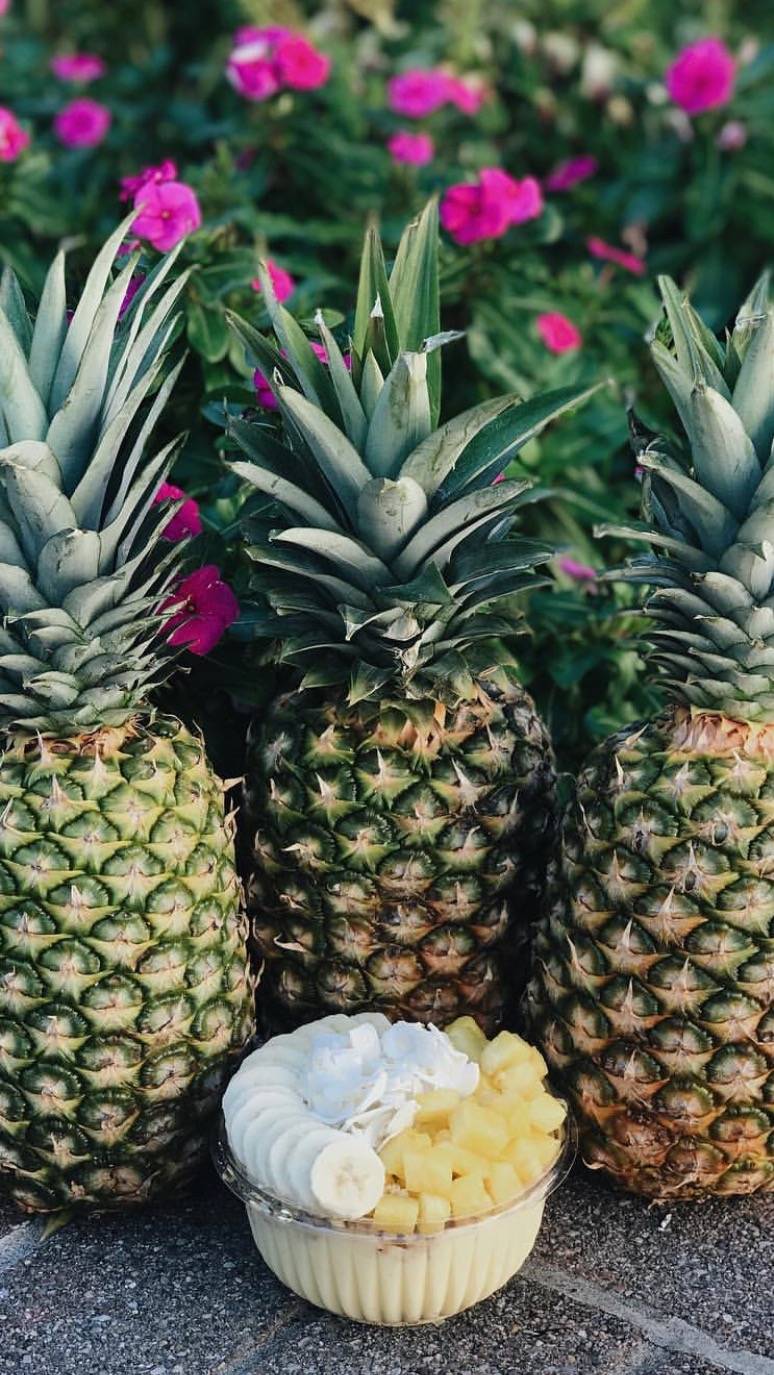 Sweetberry Fort Myers | restaurant | 10041 University Plaza Dr Suite 160, Fort Myers, FL 33913, USA | 2392083582 OR +1 239-208-3582