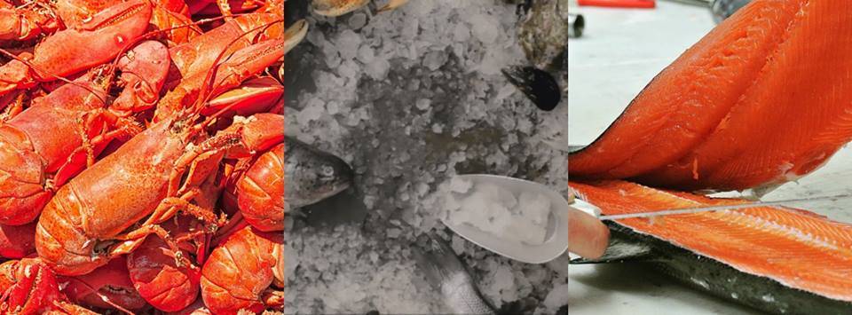 The Net Result | meal takeaway | 79 Beach Rd, Vineyard Haven, MA 02568, USA | 5086936071 OR +1 508-693-6071