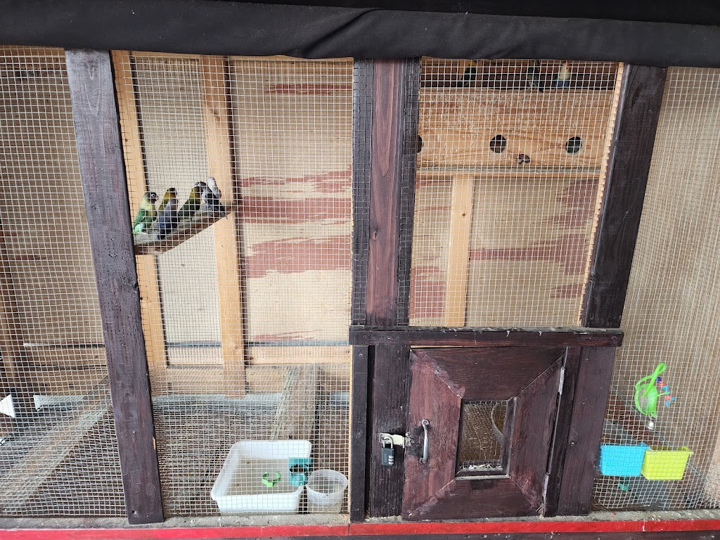 Tokyo Asia Fusion | restaurant | 1441 S Danville Dr, Abilene, TX 79605, USA | 3256911123 OR +1 325-691-1123