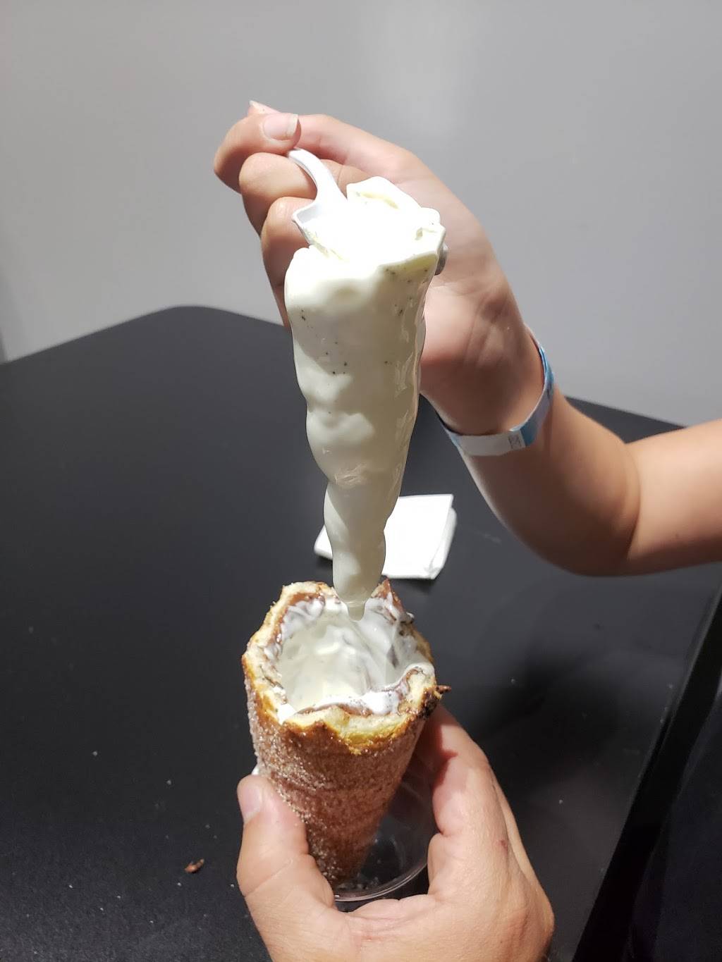 Chimney Cake Shop | restaurant | 1786 Stone Church Rd E, Hamilton, ON L8W 3P8, Canada | 9055603884 OR +1 905-560-3884