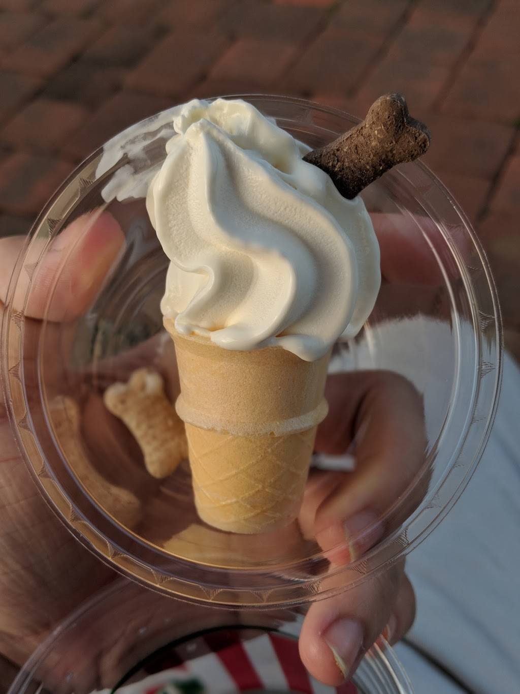 Ritas Italian Ice & Frozen Custard | restaurant | 1585 Manheim Pike, Lancaster, PA 17601, USA | 7175695651 OR +1 717-569-5651