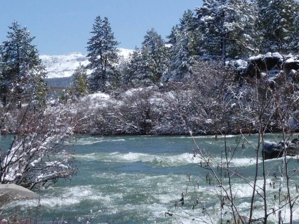 Lupitas | restaurant | 668 E Prater Way, Sparks, NV 89431, USA | 7753551770 OR +1 775-355-1770