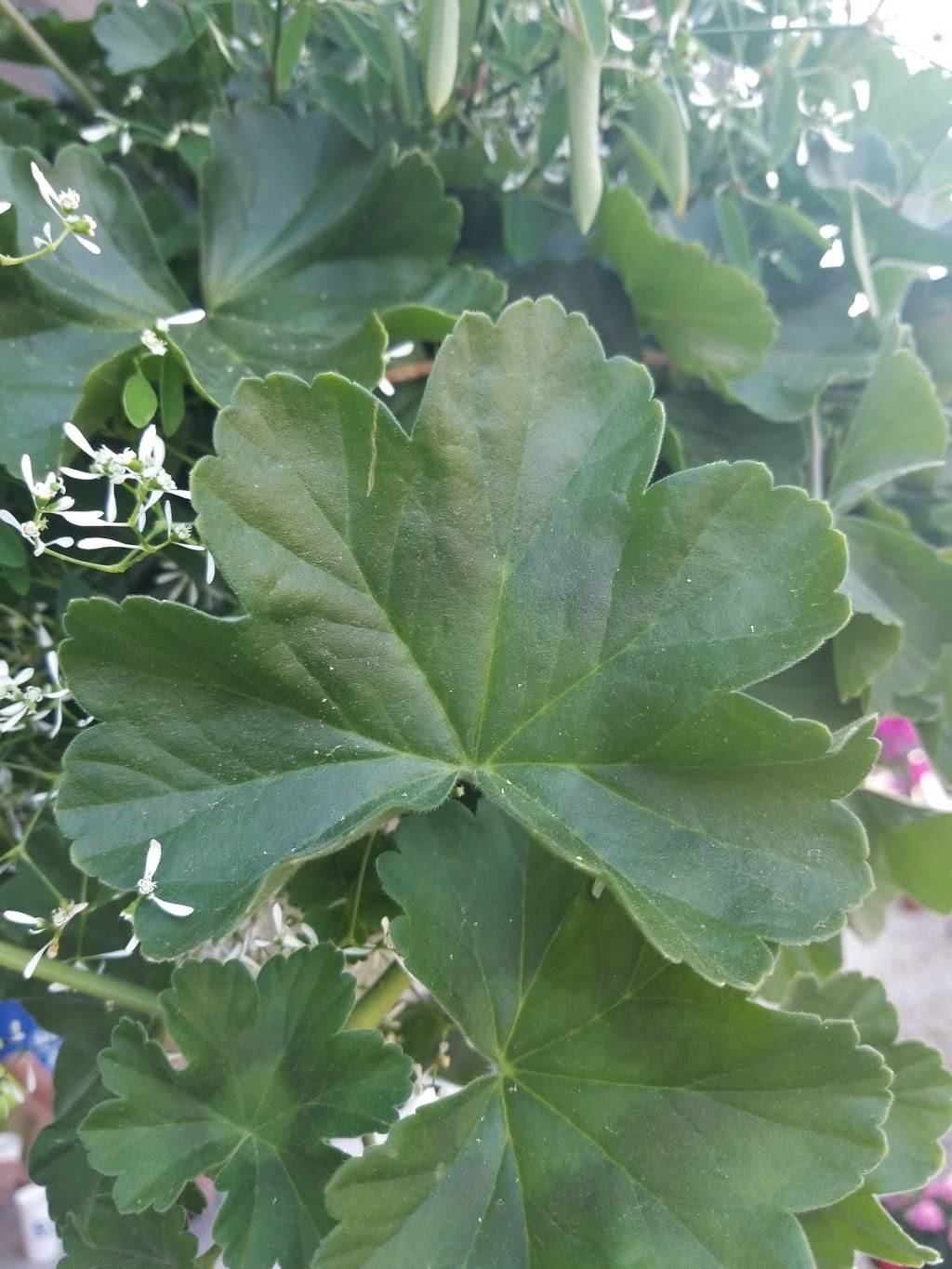 Red Oak Inn | restaurant | Tuscumbia, MO 65082, USA | 5733692770 OR +1 573-369-2770