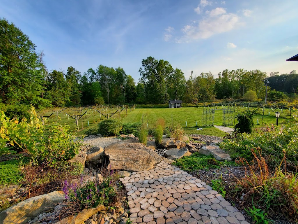 High & Low Winery + Bistro | restaurant | 588 Medina Rd, Medina, OH 44256, USA | 8444664456 OR +1 844-466-4456