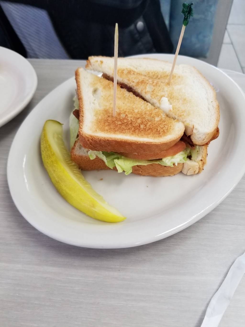 Sunnys Coney Island & Family Restaurant | restaurant | 31290 Ecorse Rd, Romulus, MI 48174, USA | 7345950700 OR +1 734-595-0700