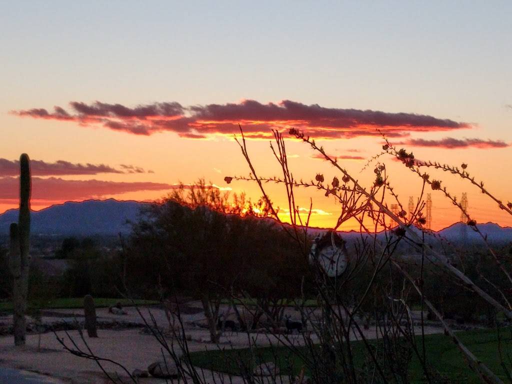 The Mesquite Grille | restaurant | 10690 E Sheena Dr, Scottsdale, AZ 85255, USA | 4805028200 OR +1 480-502-8200