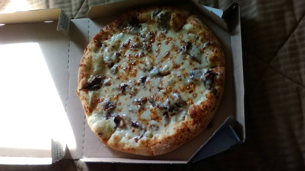 Dominos Pizza | meal delivery | 1828 Sheridan Rd, Zion, IL 60099, USA | 8477462000 OR +1 847-746-2000