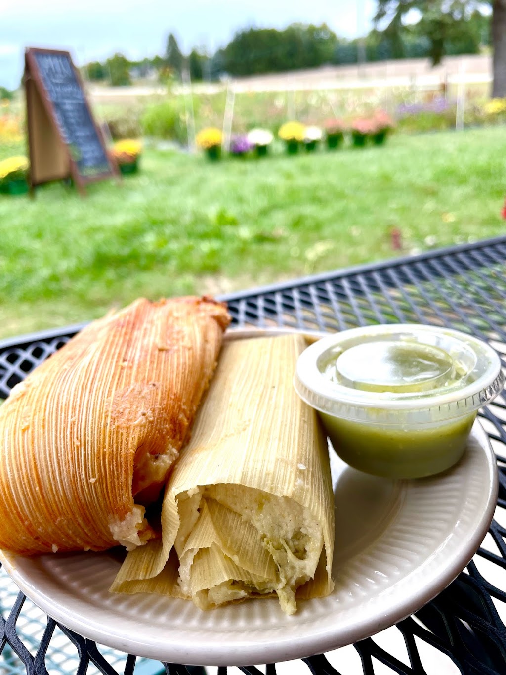 Providence Organic Farm, Café & Natural Food Market | cafe | 5695 N Michigan 88, Central Lake, MI 49622, USA | 2315992020 OR +1 231-599-2020