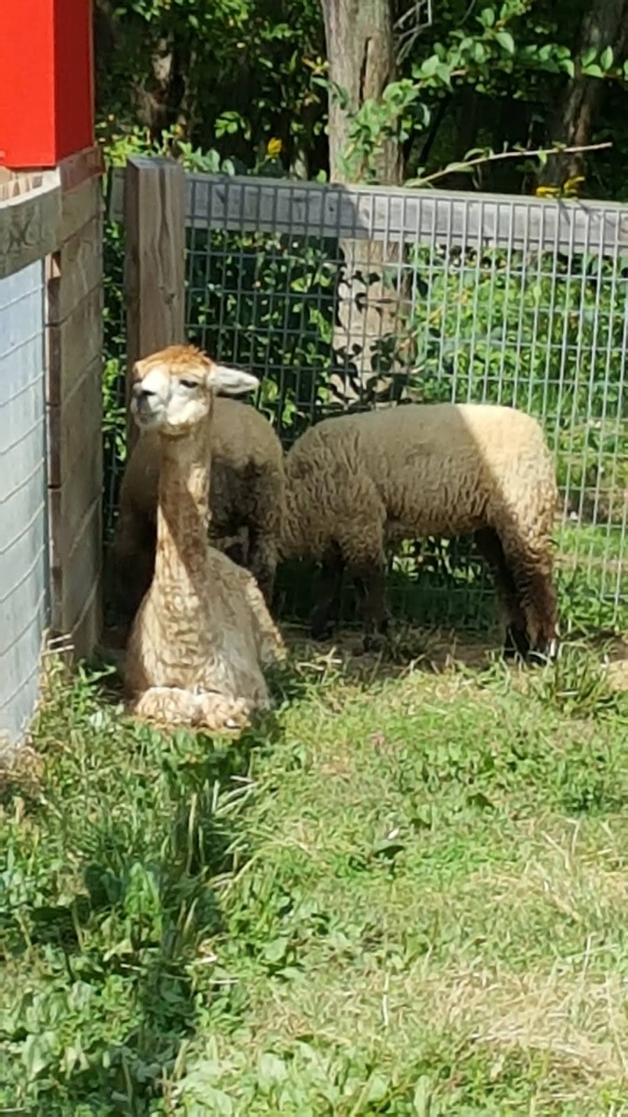 Spring Meadow Station | restaurant | 15513 Hanover Pike, Upperco, MD 21155, USA | 4108337826 OR +1 410-833-7826