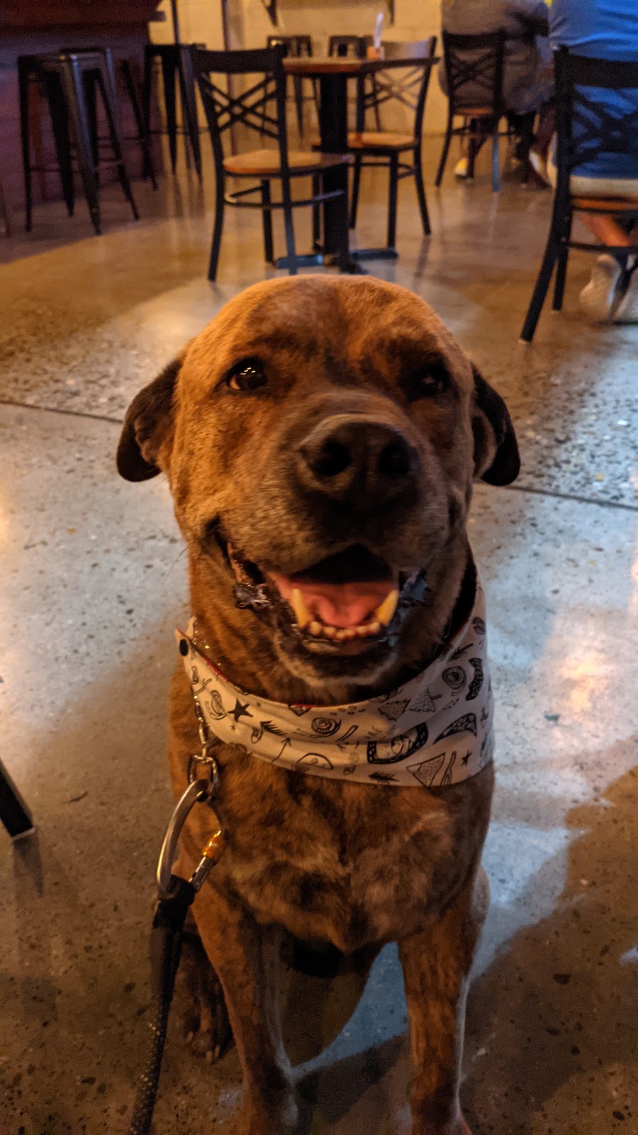 Great Notion - Georgetown | restaurant | 6235 Airport Way S Suite 102, Seattle, WA 98108, USA | 2064533452 OR +1 206-453-3452