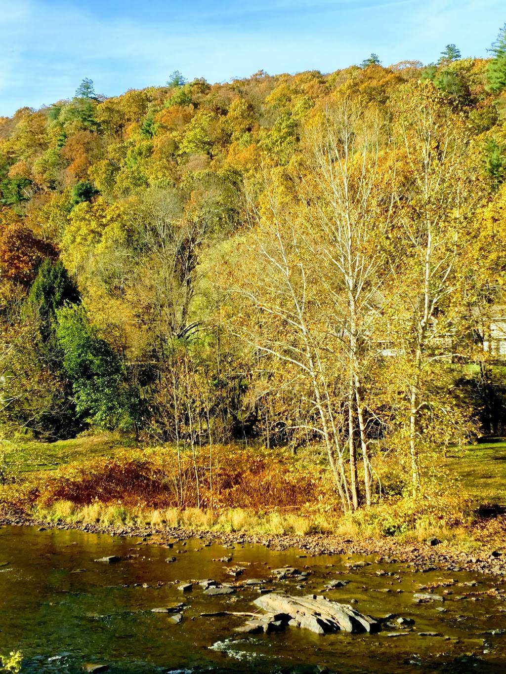 Two River Junction | restaurant | 106 Scenic Dr, Lackawaxen, PA 18435, USA | 5706851350 OR +1 570-685-1350