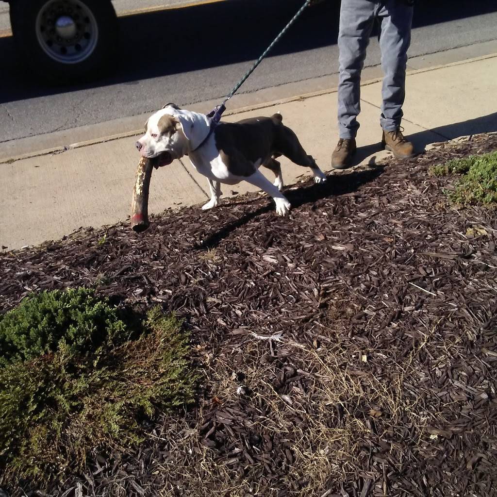 Dominos Pizza | meal delivery | 630 N Main St, Bridgewater, VA 22812, USA | 5408281777 OR +1 540-828-1777