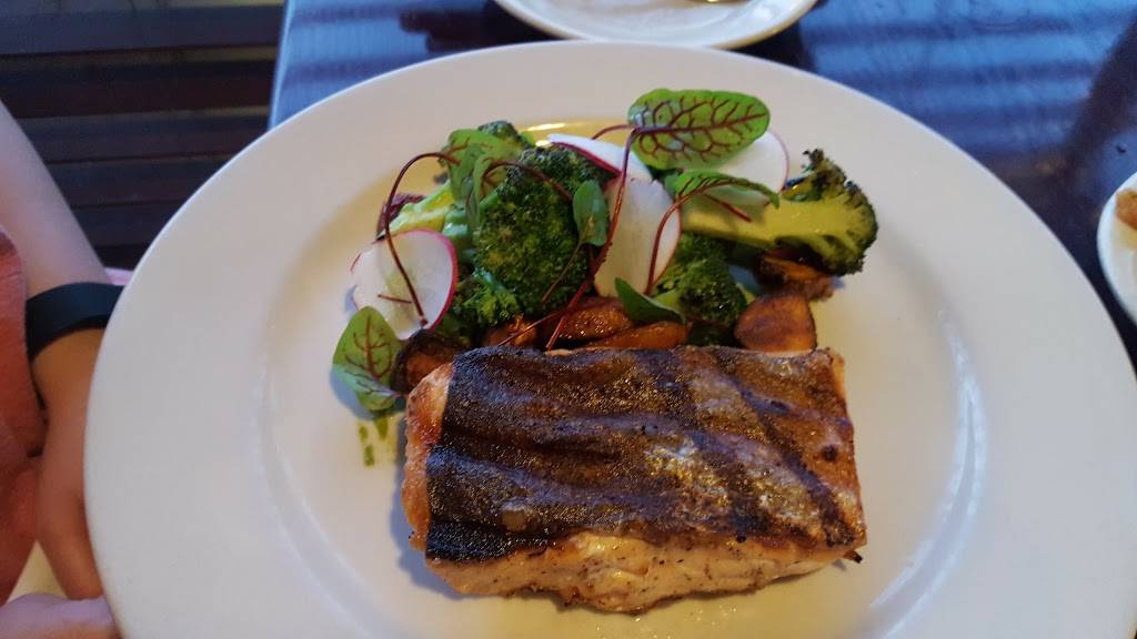 Social | restaurant | 320 Washington St, Newton, MA 02458, USA | 6172444800 OR +1 617-244-4800