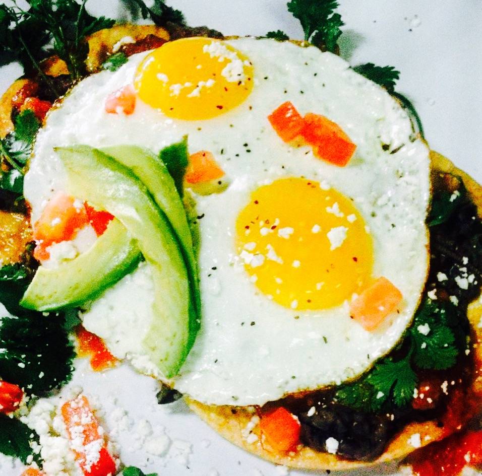 Jinkys Cafe | cafe | 14120 Ventura Blvd, Sherman Oaks, CA 91423, USA | 8189812250 OR +1 818-981-2250