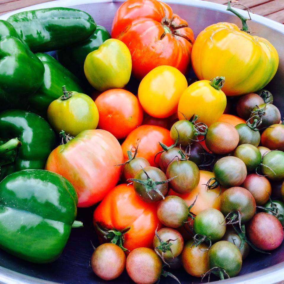 K & S Pizza & Restaurant | meal delivery | RI-91 & Route 112, Charlestown, RI 02813, USA | 4013640040 OR +1 401-364-0040