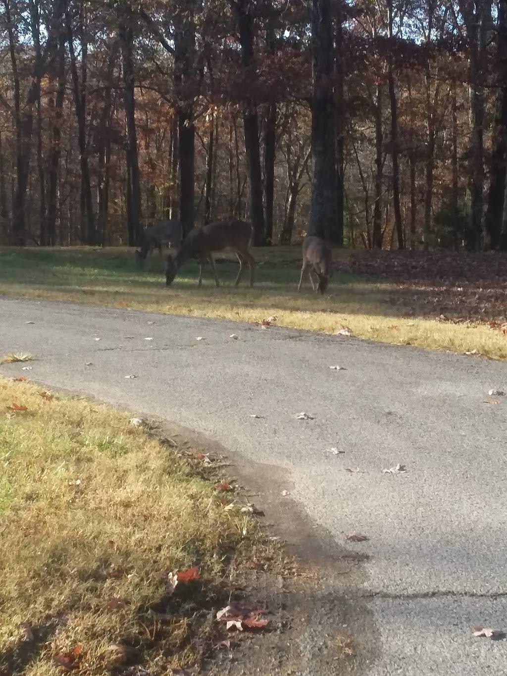 The Forge Restaurant | restaurant | 1000 Hotel Ave, Burns, TN 37029, USA | 8002508613 OR +1 800-250-8613