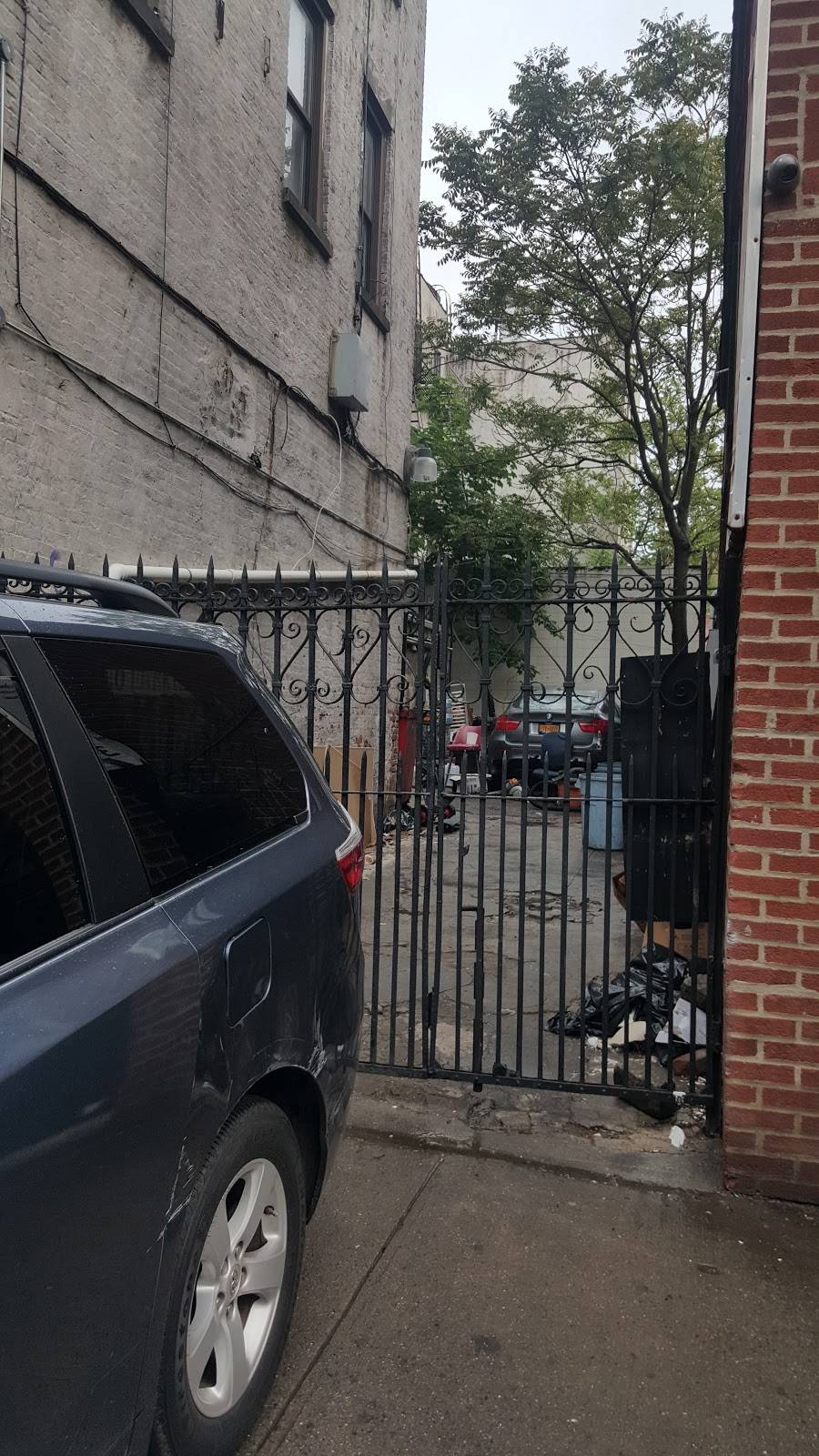 Tropical Twist | bakery | 1081 Flatbush Ave, Brooklyn, NY 11226, USA | 3474137860 OR +1 347-413-7860