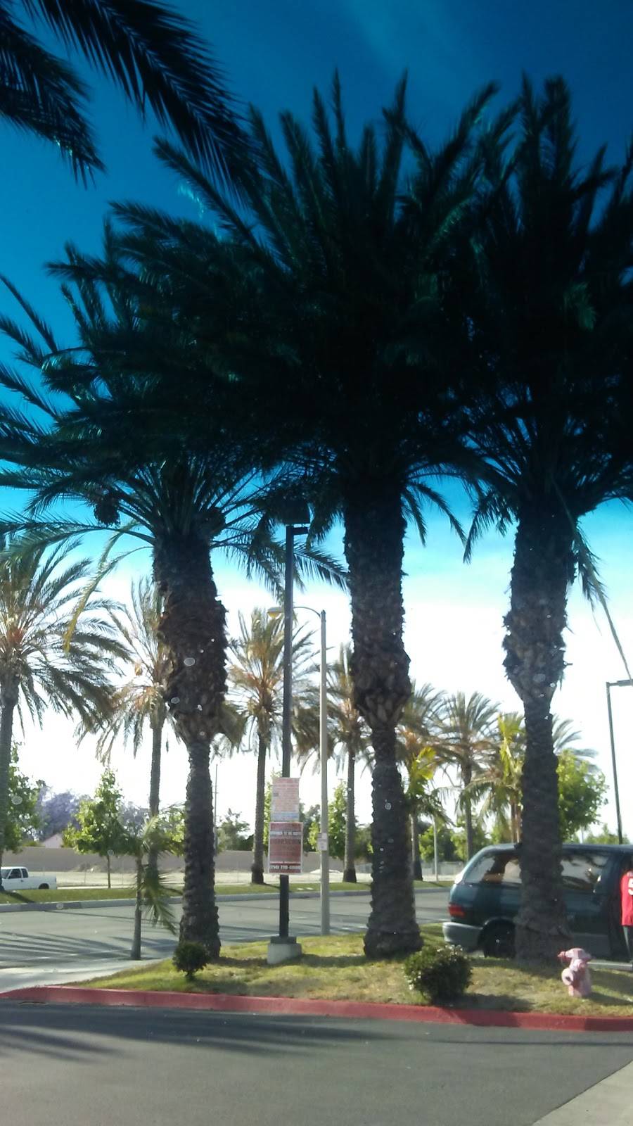 Taqueria El Triunfo | restaurant | 903 S Bristol St, Santa Ana, CA 92703, USA | 7145580349 OR +1 714-558-0349