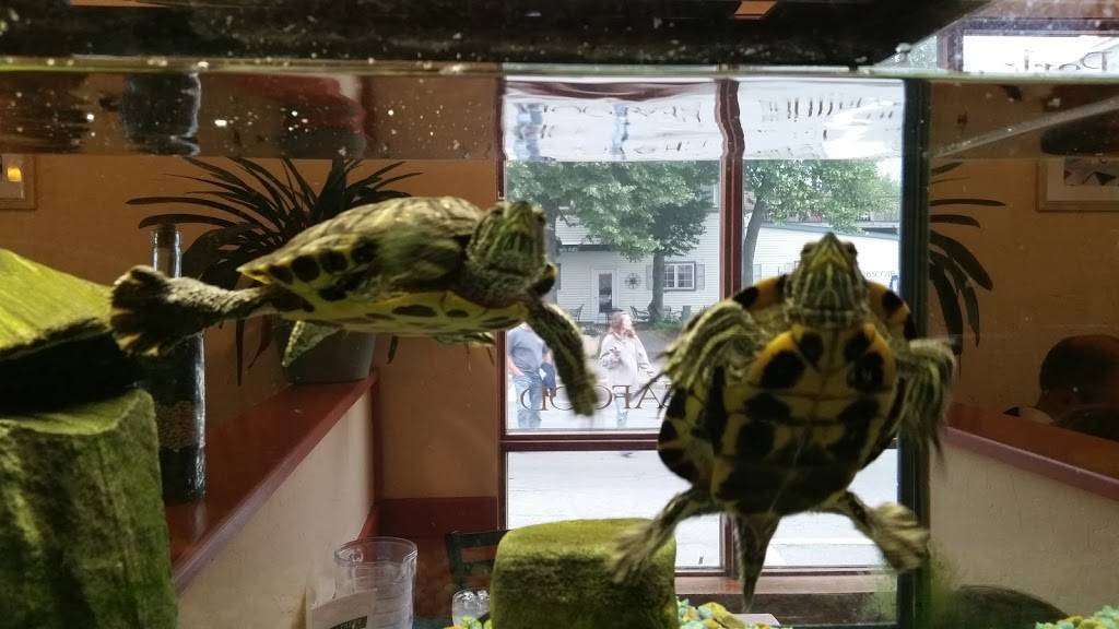 Park Street Grille | restaurant | 279 Main St #7, Rockland, ME 04841, USA | 2075944944 OR +1 207-594-4944