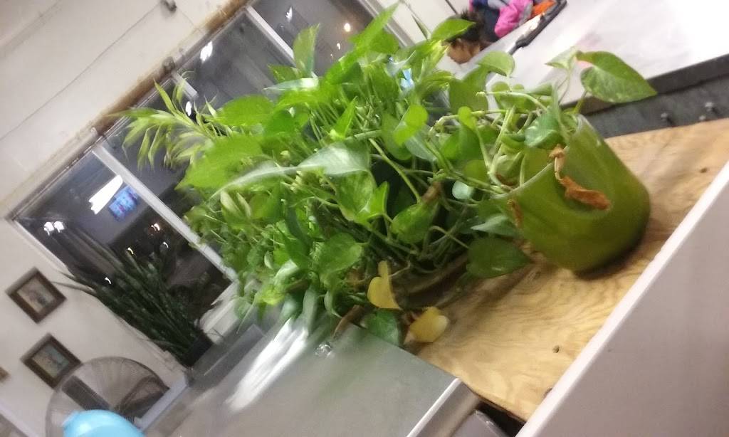 El Tipico | restaurant | 147 Lawrence St, Lawrence, MA 01841, USA | 9789753715 OR +1 978-975-3715