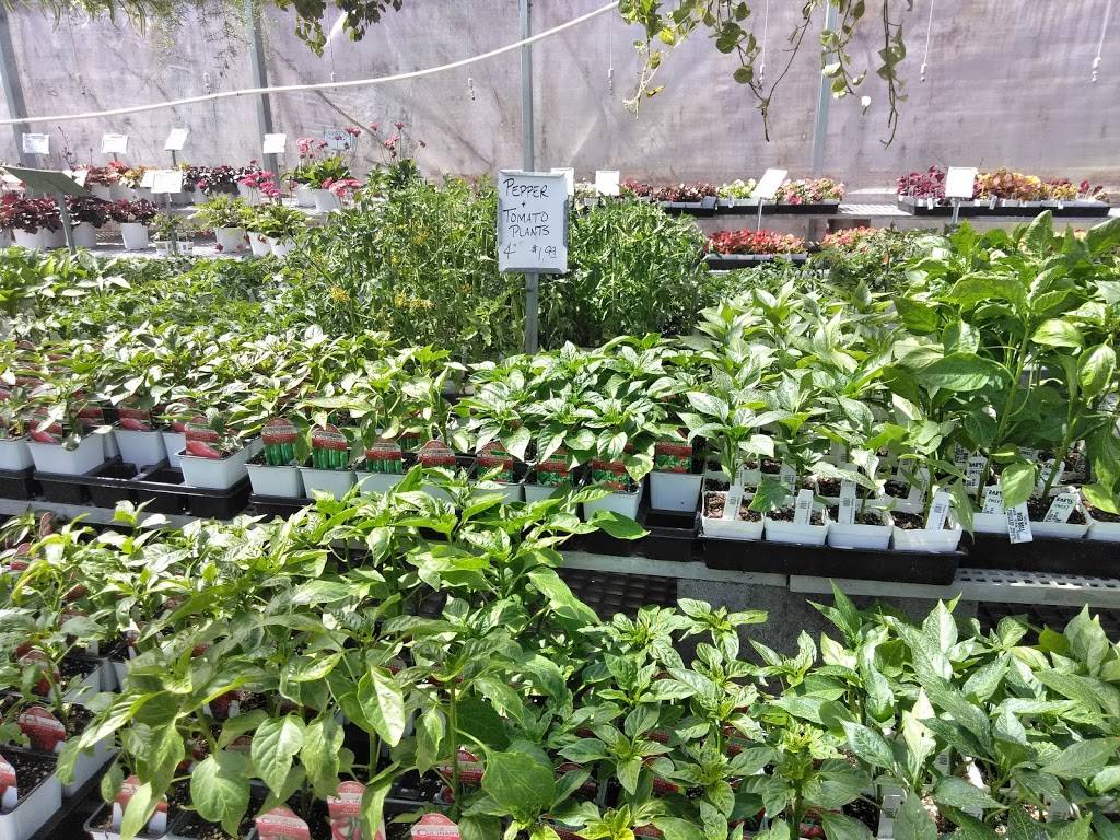 LittleJohn Produce and Nursery | restaurant | 513 W Lingleville Rd, Stephenville, TX 76401, USA | 2549680077 OR +1 254-968-0077