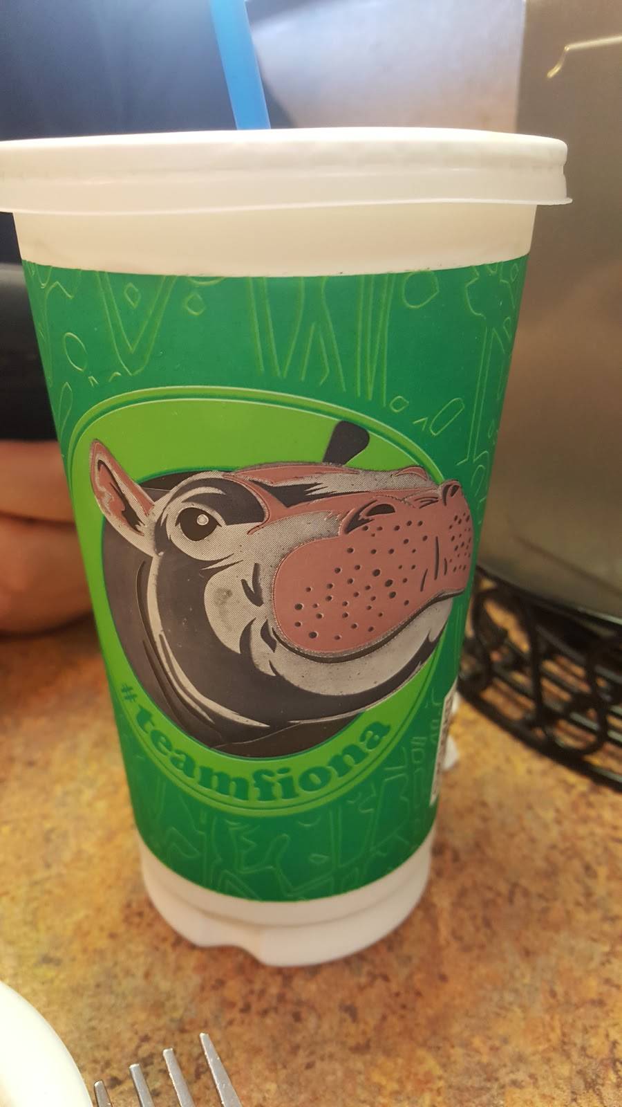 Skyline Chili | restaurant | 5137 Delhi Pike, Cincinnati, OH 45238, USA | 5134517000 OR +1 513-451-7000