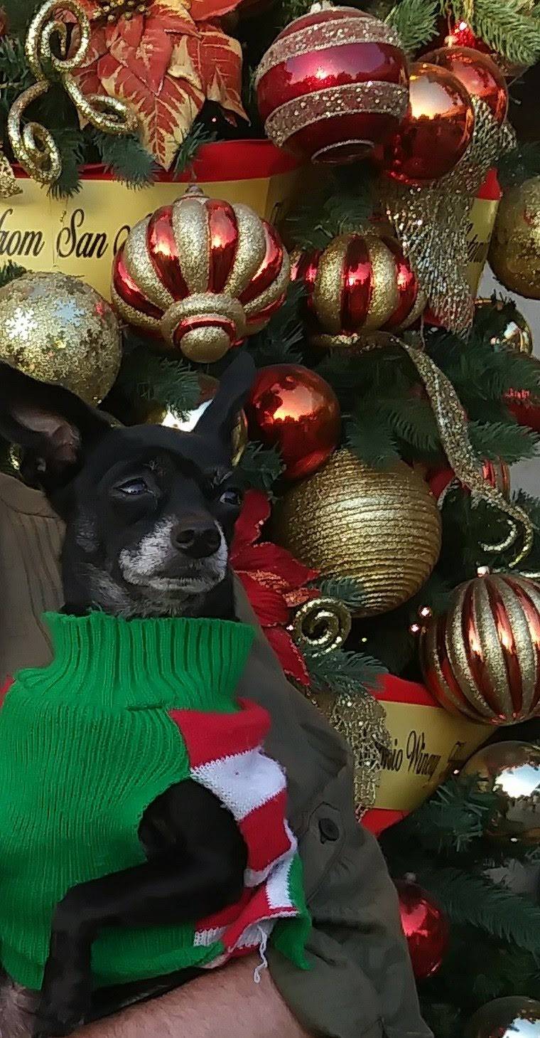 San Antonio Winery | restaurant | 737 Lamar St, Los Angeles, CA 90031, United States | 3232231401 OR +1 323-223-1401