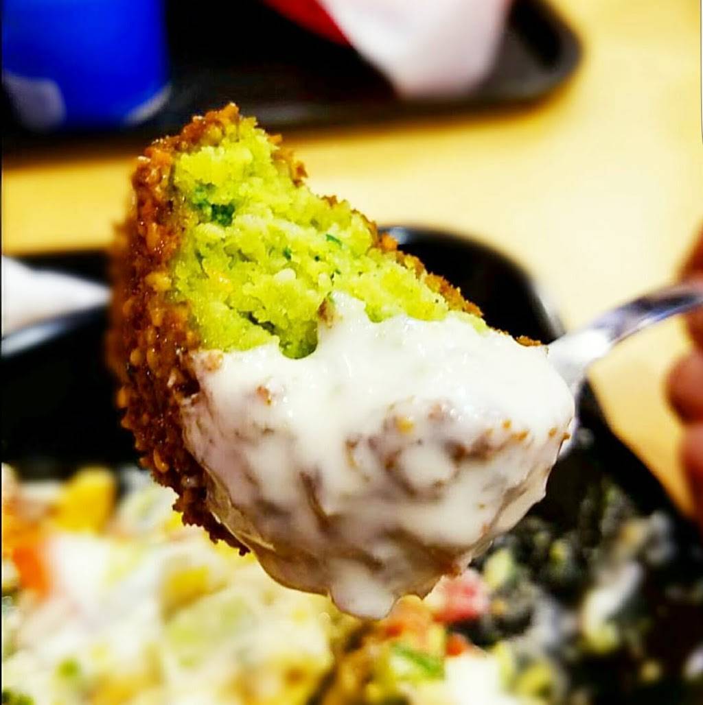 House of Falafel | restaurant | 21095 Farmington Rd, Farmington Hills, MI 48336, USA | 2485796858 OR +1 248-579-6858