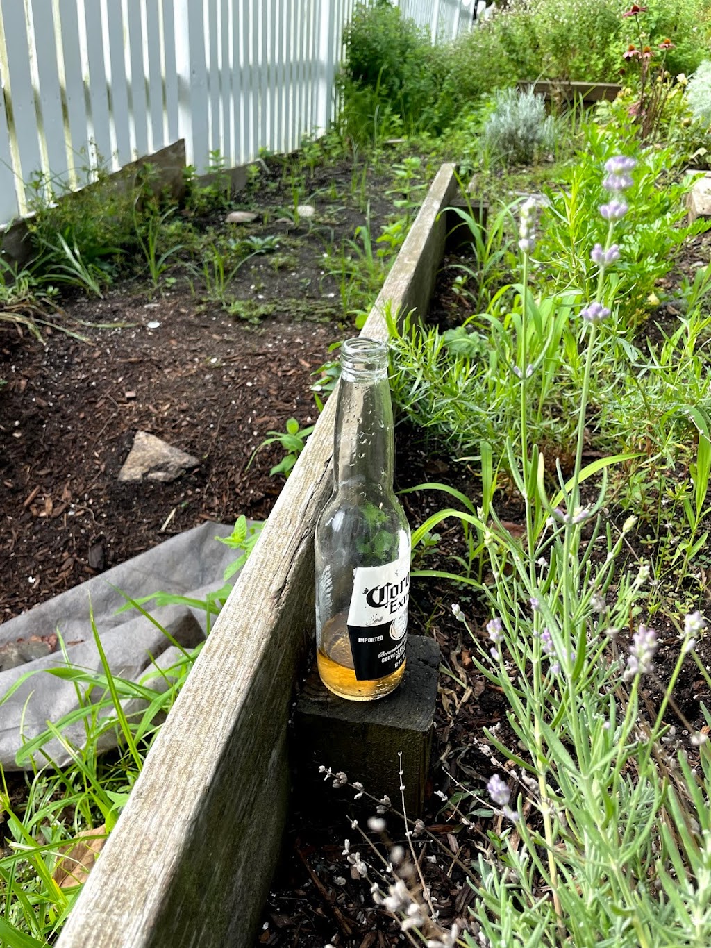 The Summer House Cottages | restaurant | 17 Ocean Ave, Nantucket, MA 02554, USA | 5082574577 OR +1 508-257-4577