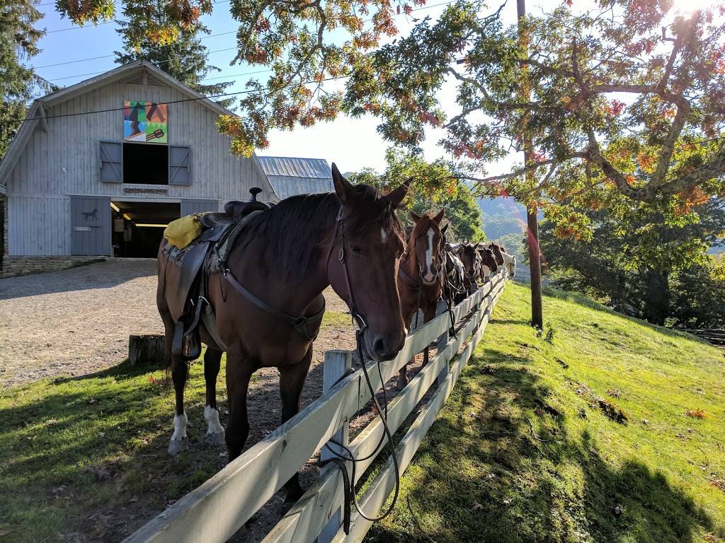 Cataloochee Ranch | restaurant | 119 Ranch Dr, Maggie Valley, NC 28751, USA | 8289261401 OR +1 828-926-1401